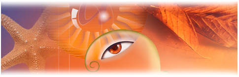 어도비님이 보고있어.